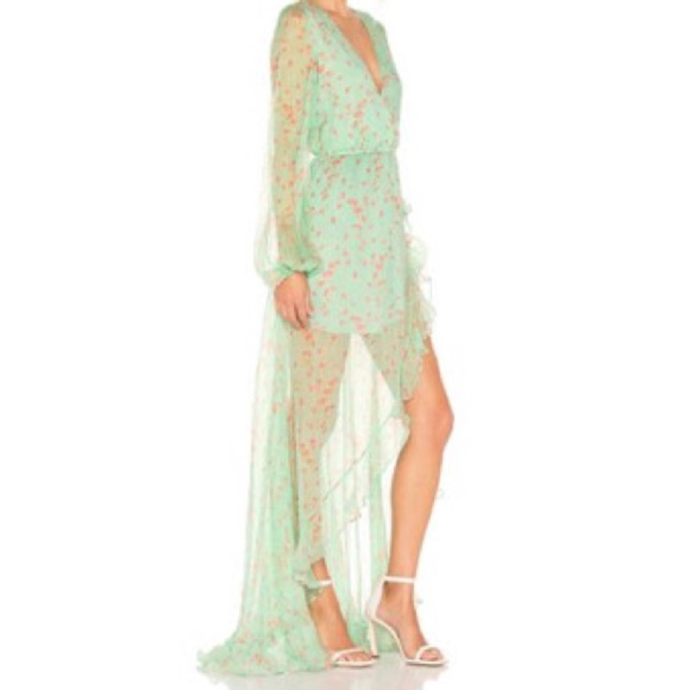 Caroline Constas Silk Gown x Revolve Liv